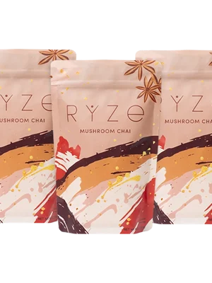 Mushroom Chai (3 Month Upgrade)