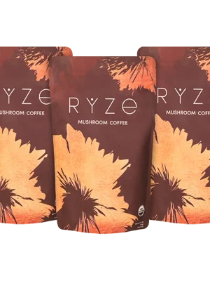 Mushroom Coffee (3 Month Upgrade) Original